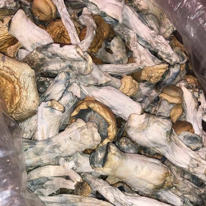 Organic Lion's Mane Tincture image